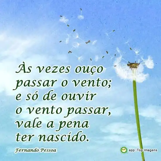 Vale a pena ter nascido