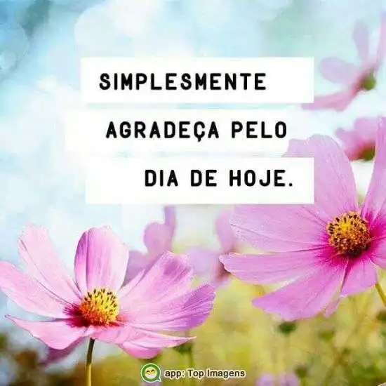 Agradeça pelo dia de hoje