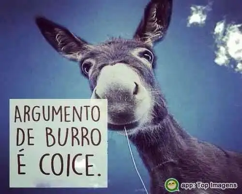 Argumento de burro