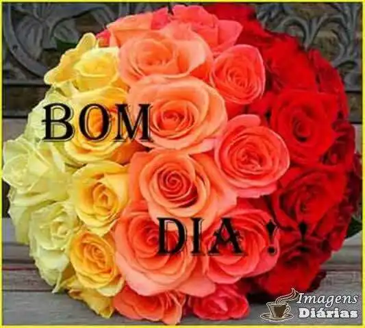Bom dia