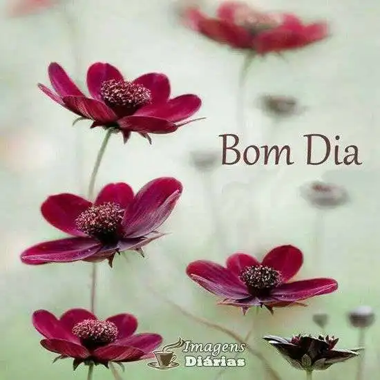 Bom dia