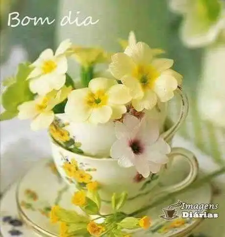 Bom dia