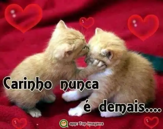 Carinho nunca é demais