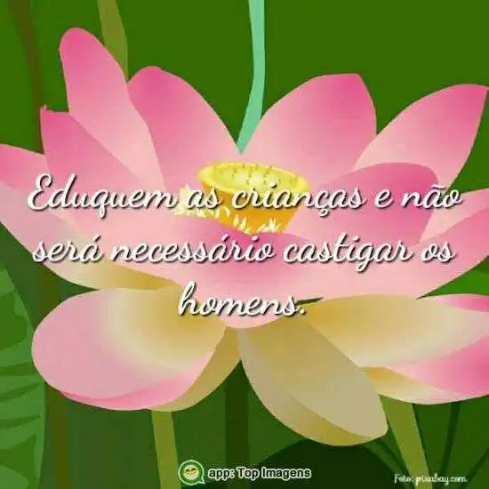 Eduquem as crianças