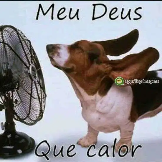 Que calor