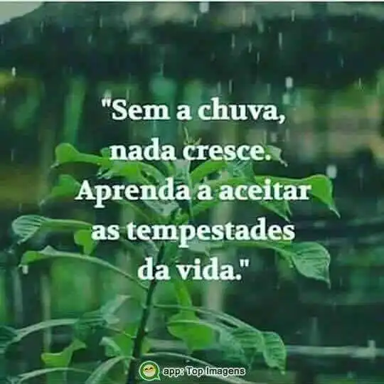 Aceitar as tempestades da vida