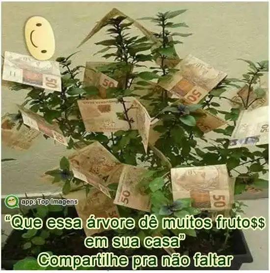 Árvore com bons frutos