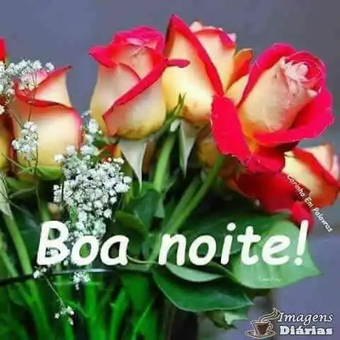 Boa noite