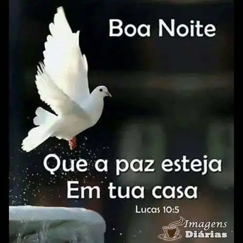 Boa noite