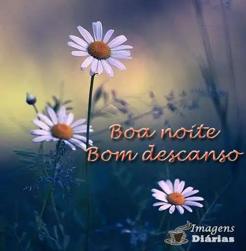 Boa noite