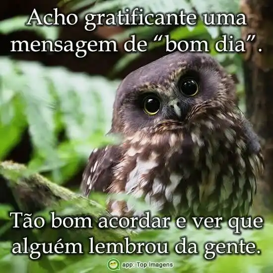 Bom dia lembrei de você
