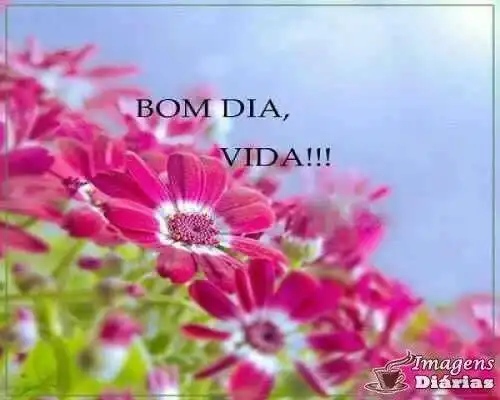 Bom dia