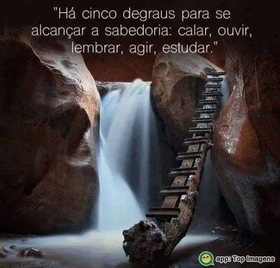Degraus para a sabedoria