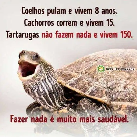 Fazer nada é melhor