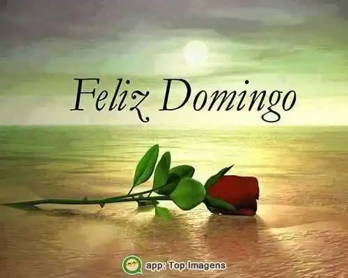 Feliz domingo
