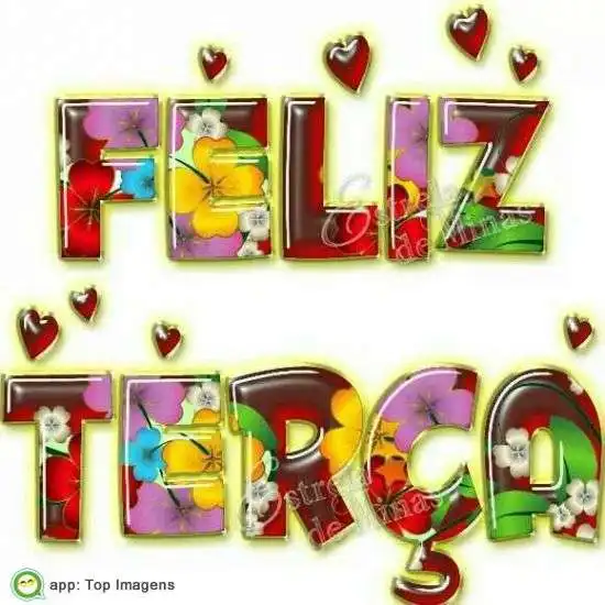 Feliz terça-feira