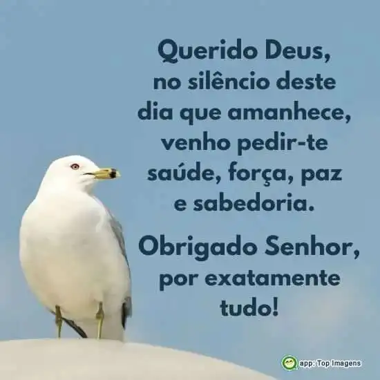 Obrigado Senhor