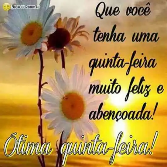 Ótima quinta-feira