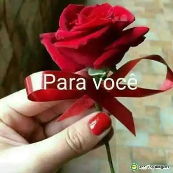 Rosa pra você