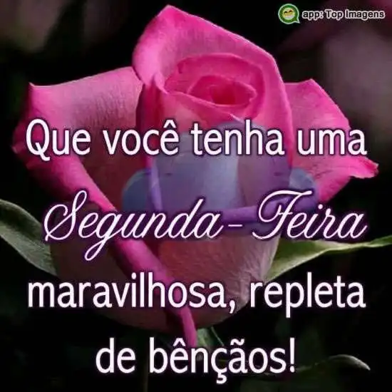 Segunda-feira maravilhosa