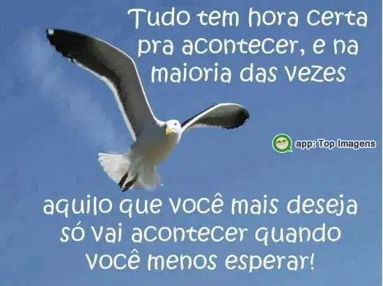 Tudo tem hora certa