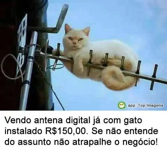 Vendo antena com gato instalado