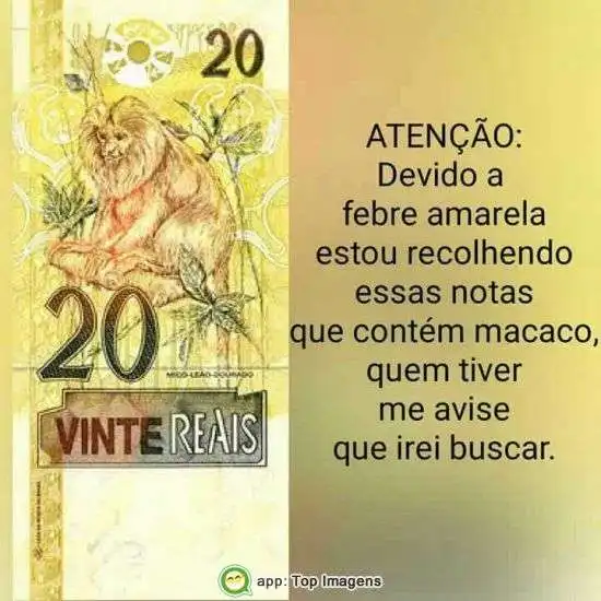 Atenção febre amarela