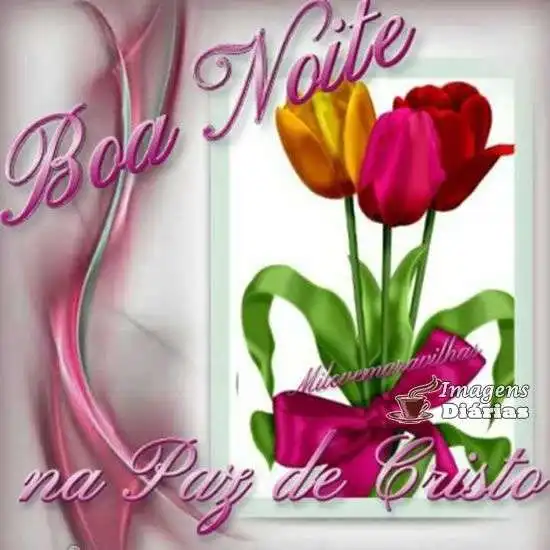 Boa noite