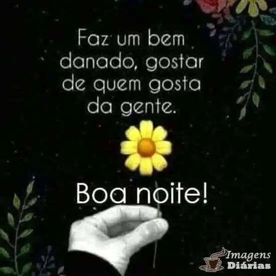 Boa noite