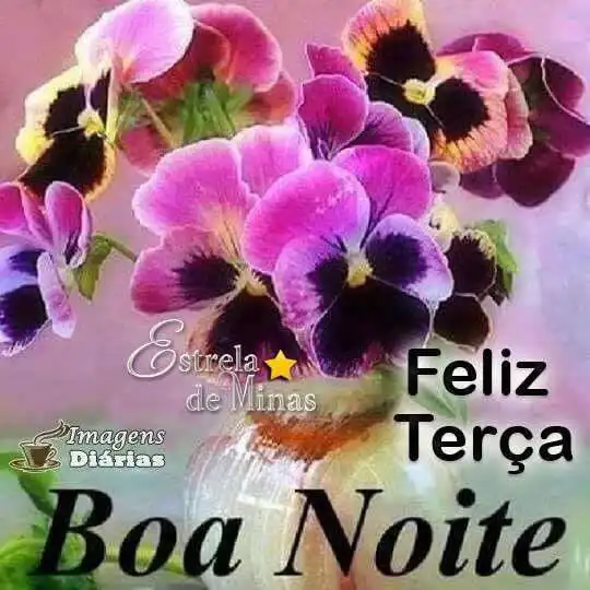 Boa noite e feliz terça-feira