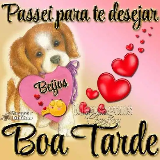 boa-tarde-11443C3sEKyvRw3.webp