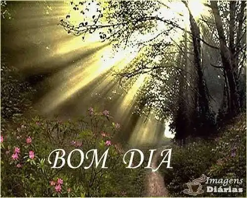 Bom dia