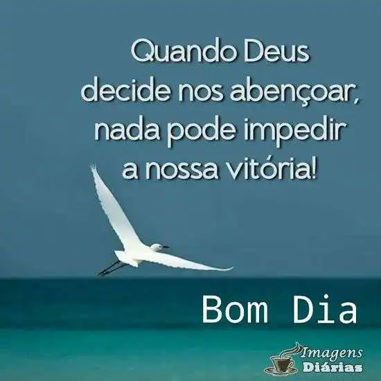 Bom dia