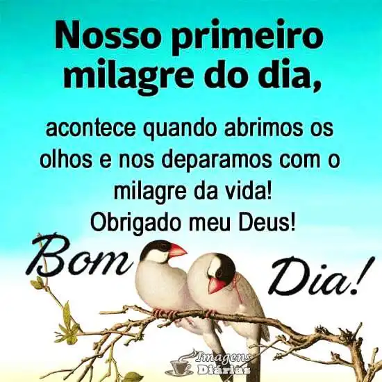 Bom dia