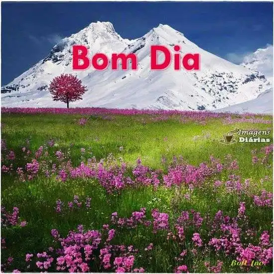 Bom dia