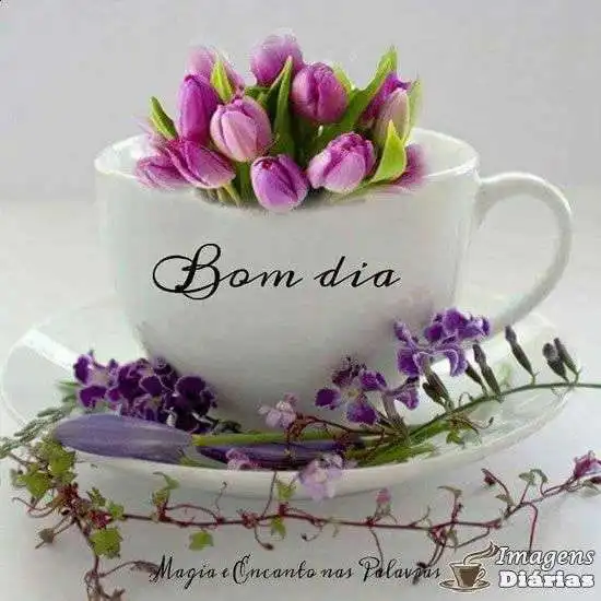 Bom dia