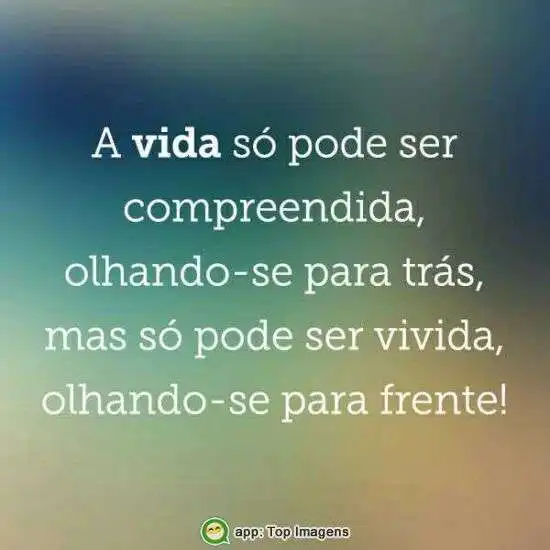 Compreender e viver