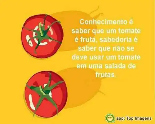 Conhecimento e sabedoria