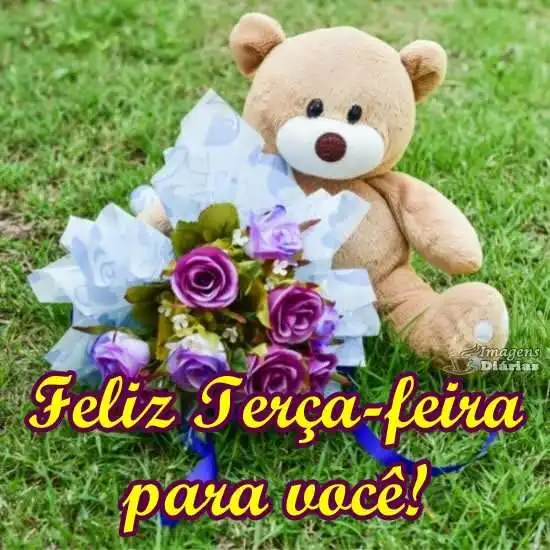 Feliz terça-feira