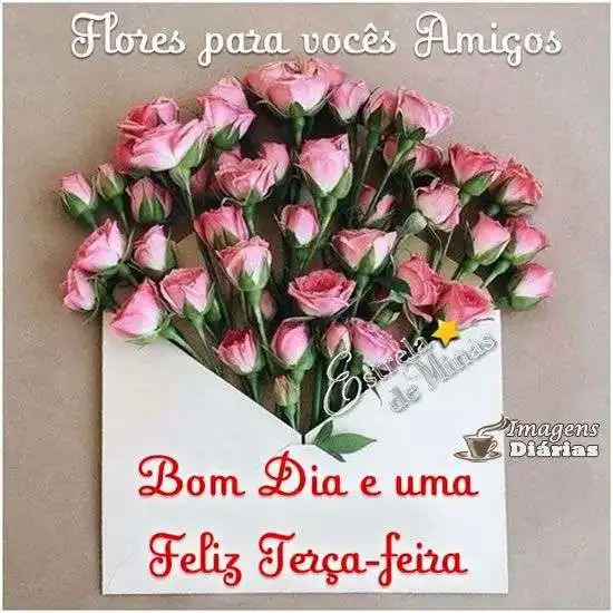 Feliz terça-feira