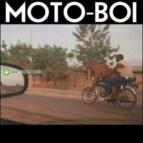 Moto-boi