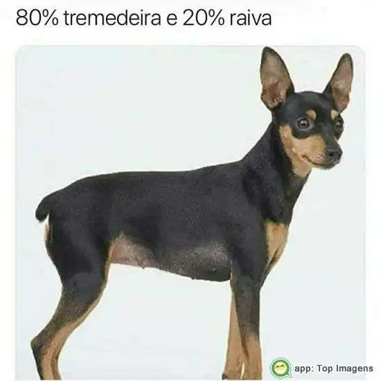 Tremedeira e raiva