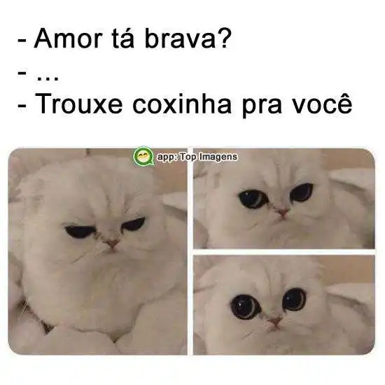 Amor tá brava