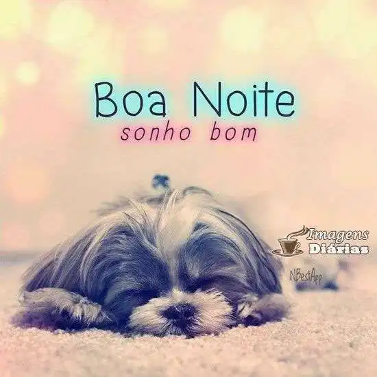 Boa noite