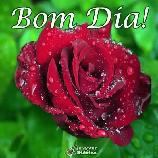 Bom dia