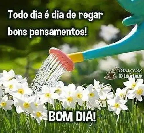 Bom dia