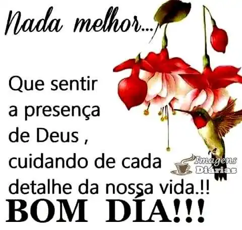 Bom dia