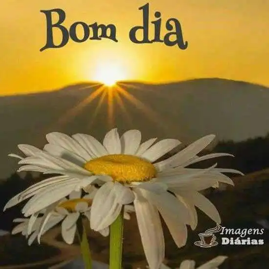 Bom dia