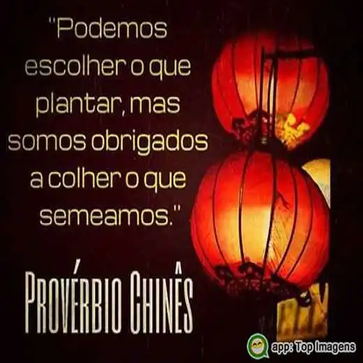 Escolher o que plantar