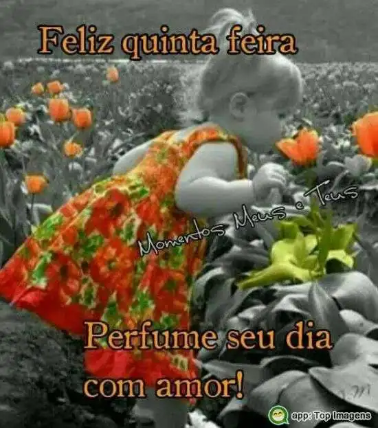 Feliz quinta-feira